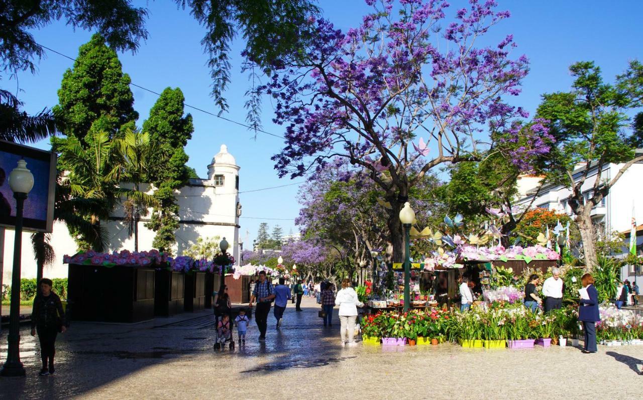 Pimenta Funchal Downtown 아파트 외부 사진